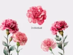 Pink Carnations Sticker Set - Image 4